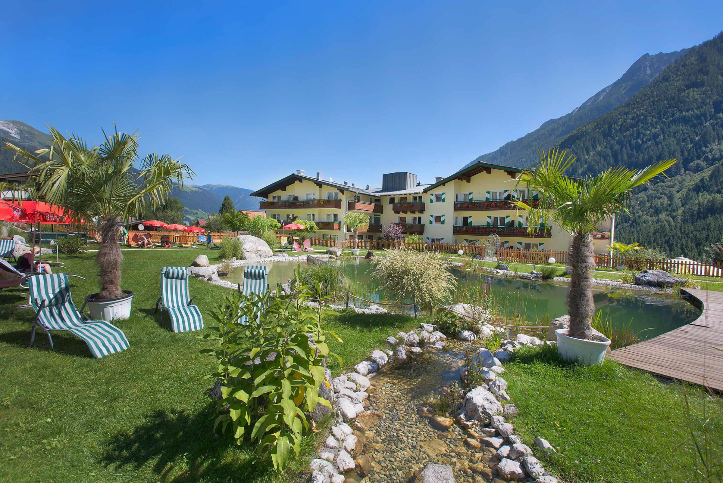 Sunny sunbathing lawn with palm trees and pond, surrounded by mountains and hotel building.