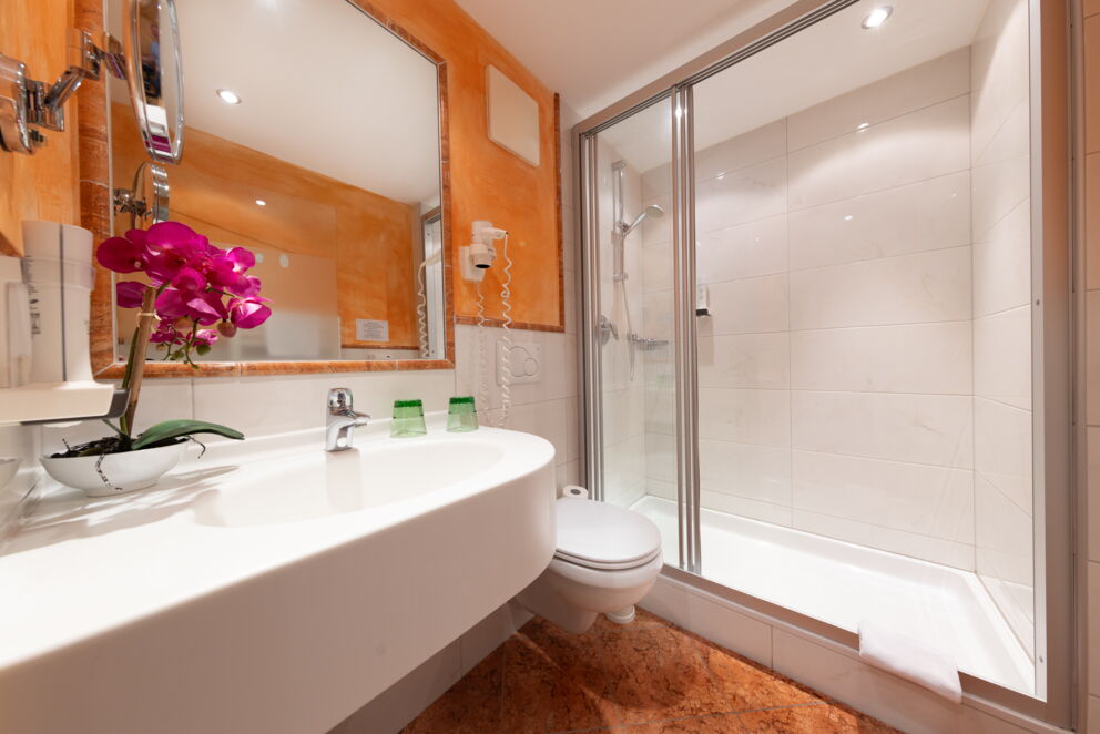 Modernes Badezimmer mit großer Dusche, weißem Waschtisch und lebendiger Dekoration.