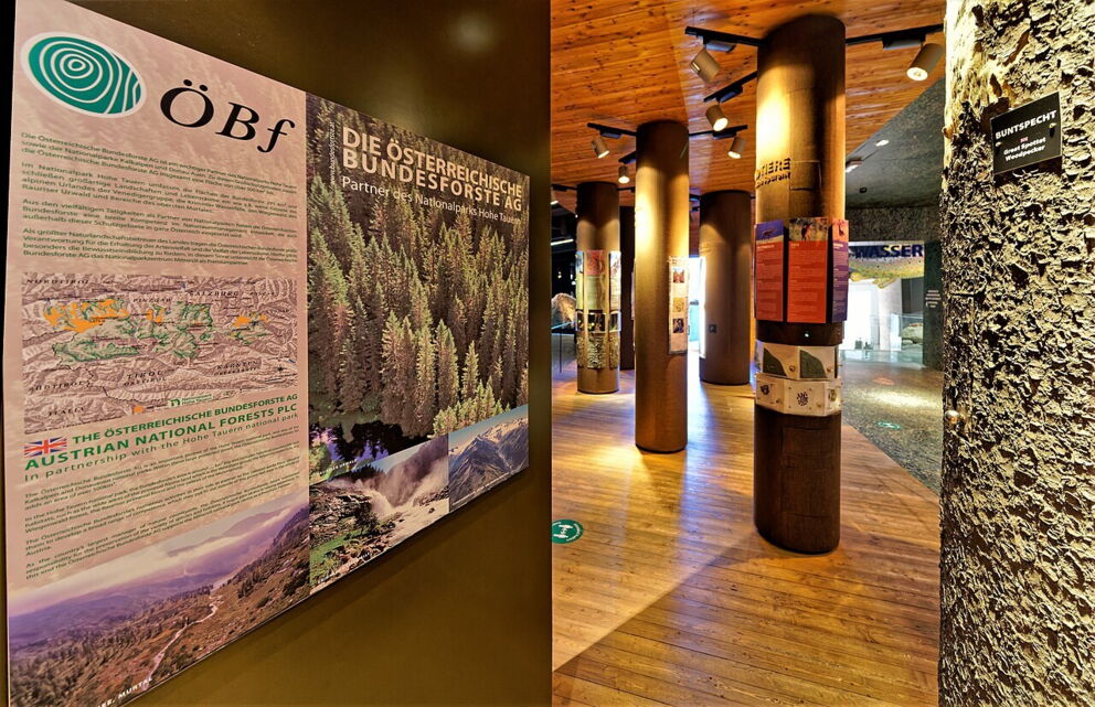 Ausstellung in den Nationalparkwelten Mittersill mit Infotafeln der Österreichischen Bundesforste und Holzsäulen