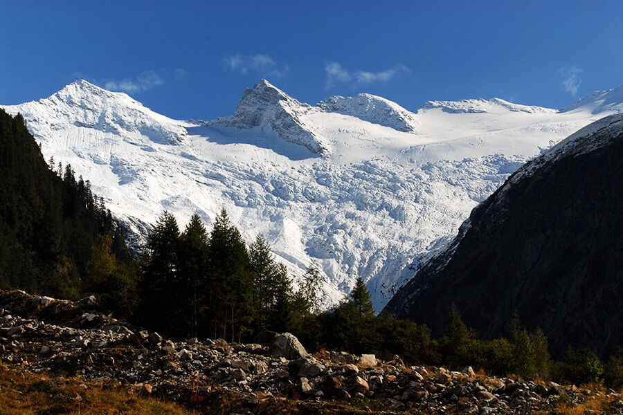Snow-covered Alpine mountains under a clear sky, framed by dense forests and rocks.