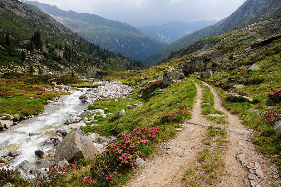 Picturesque hiking trail in the high mountains with flowering meadows and a clear mountain stream.