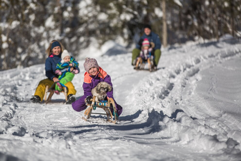 Familien rodeln fröhlich im verschneiten Winterwald, lachende Gesichter und ein kleiner Hund.
