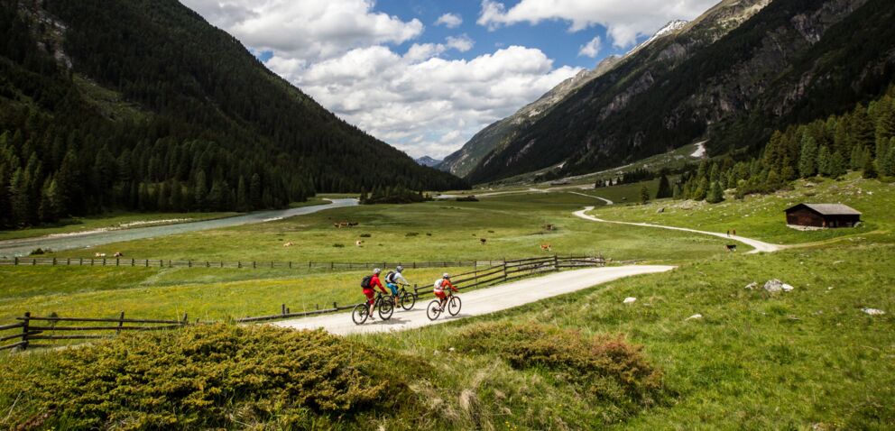 Drei Radfahrer genießen eine Tour durch die malerische Berglandschaft der Tauern.