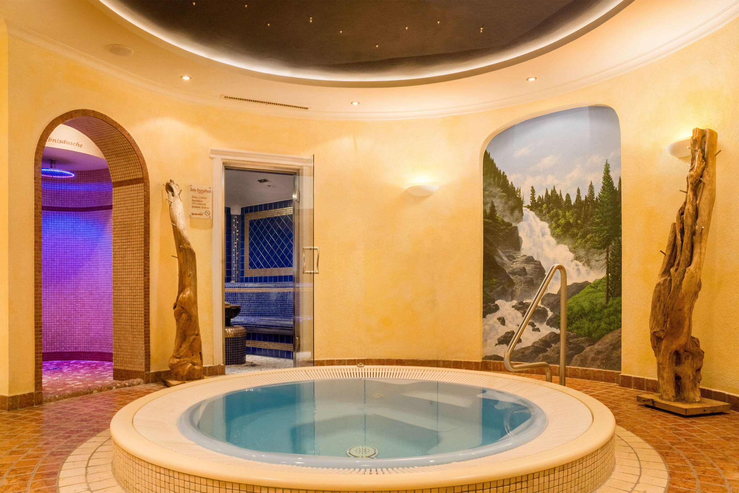 Gemütlicher Wellnessbereich mit Whirlpool, Duschen und Naturmotiv-Wandbild.