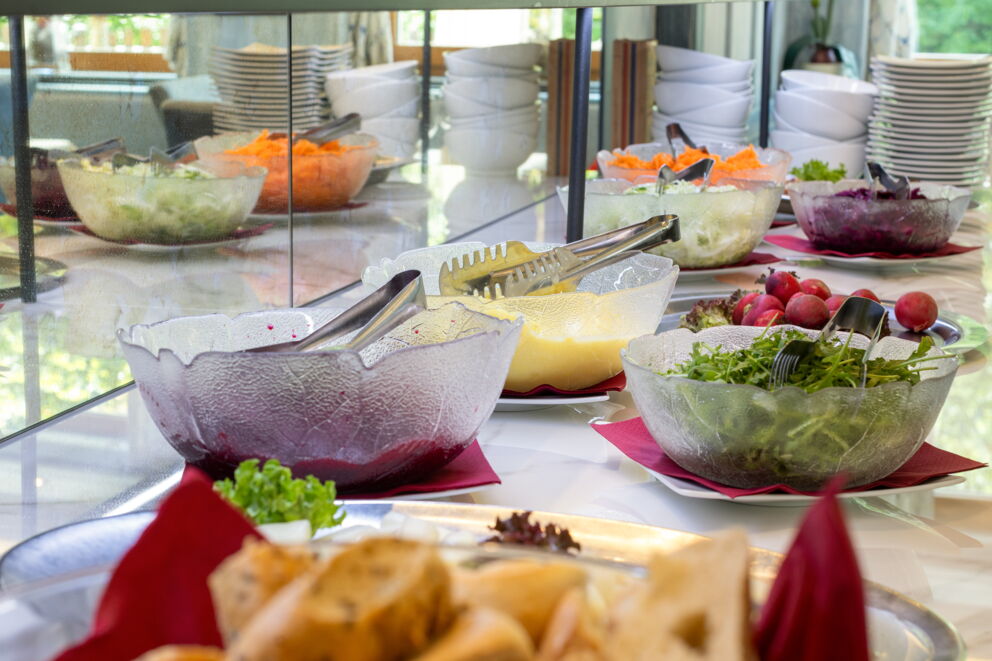 Verschiedene Salate und Dressings auf einem Buffet, mit frischem Gemüse und Kräutern.