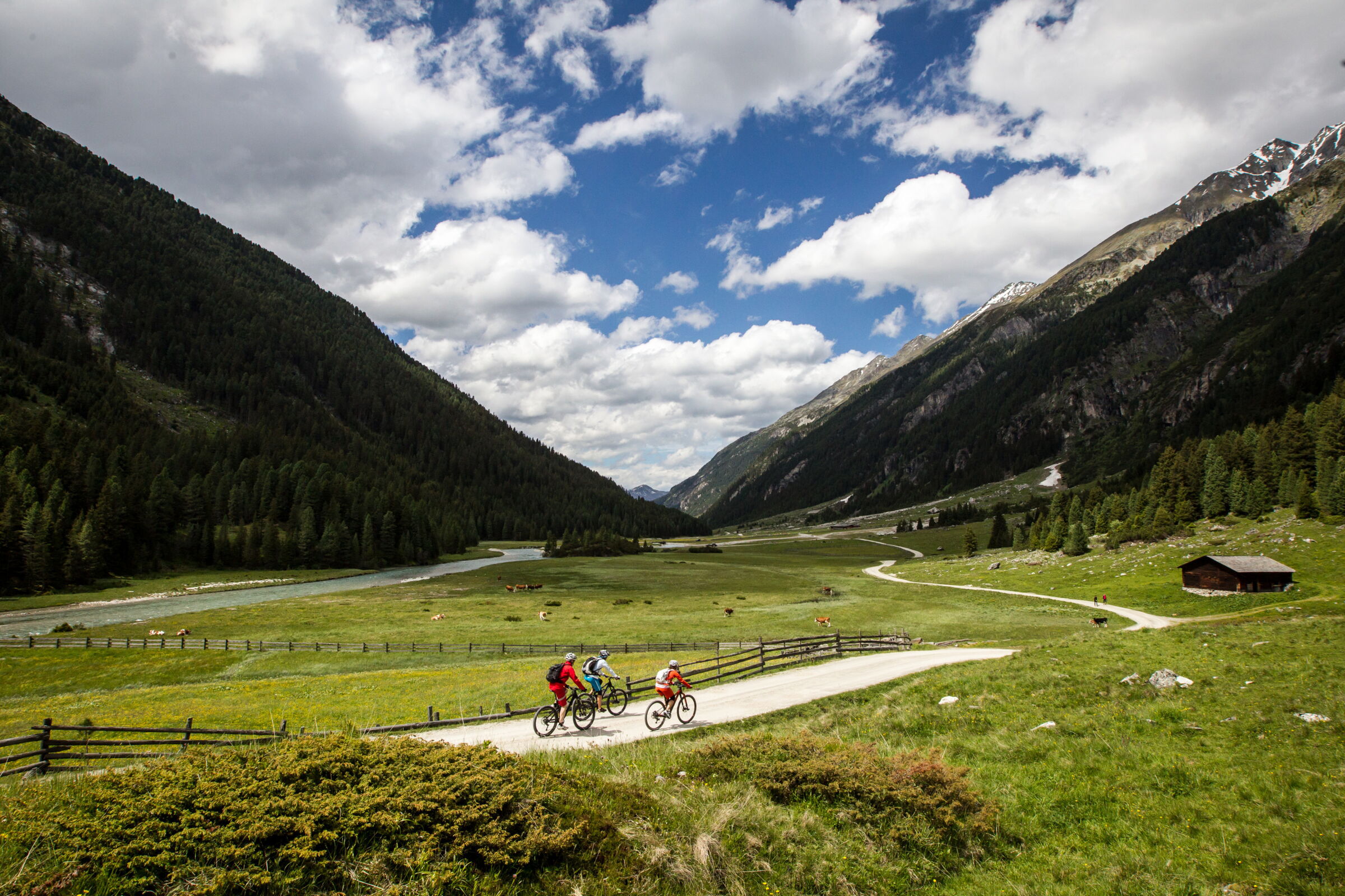 Cyclists on an idyllic route between majestic mountains and lush green meadows.