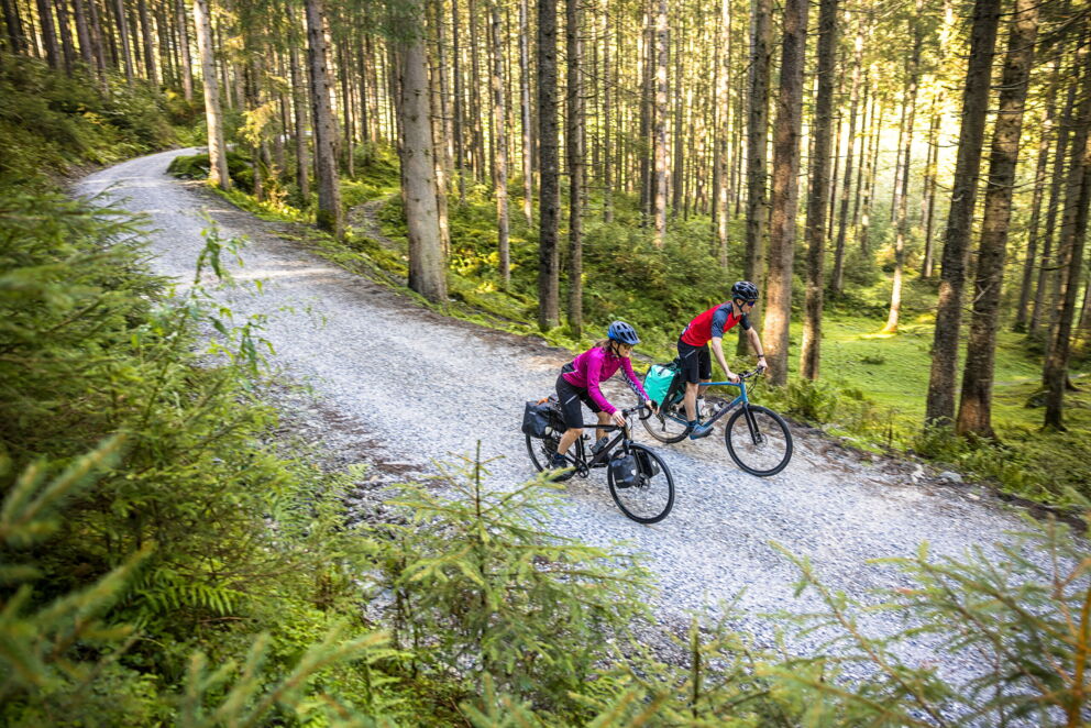 Zwei Radfahrer erkunden unberührte Waldwege bei strahlendem Sonnenschein.
