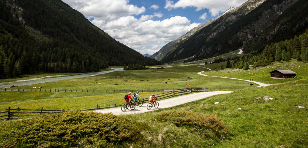 Drei Radfahrer genießen eine Tour durch die malerische Berglandschaft der Tauern.